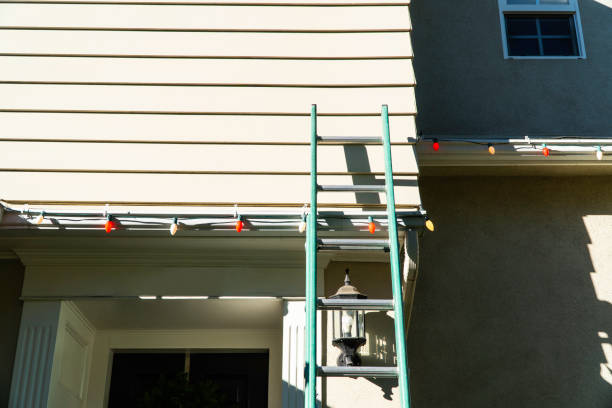 Best Historical Building Siding Restoration  in Collinsville, MS